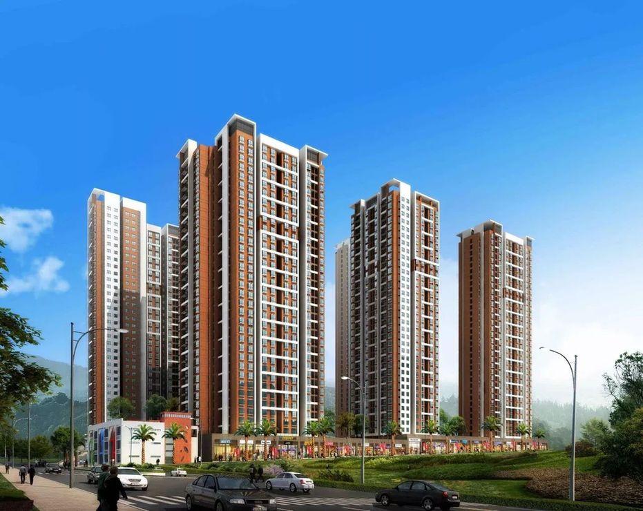 1634296417569310.jpg b.jpg